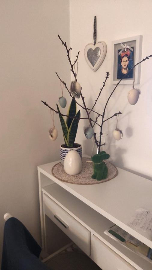 Anka Apartman Semendire Dış mekan fotoğraf